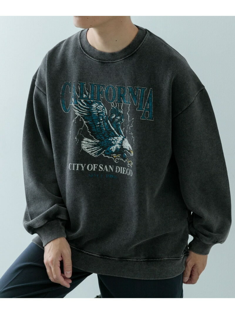【SALE/60%OFF】URBAN RESEARCH ITEMS パウダー加工 クルーネックスウェットプルオーバー アーバンリサーチアイテムズ トップス スウェット・トレーナー【RBA_E】