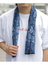 BEAMS JAPAN 【WEB限定】CHAORAS*BEAMS JAPAN / スポーツ 手ぬぐい ビームス ジャパン ファッション雑貨 ハンカチ・ハンドタオル オレンジ ネイビー