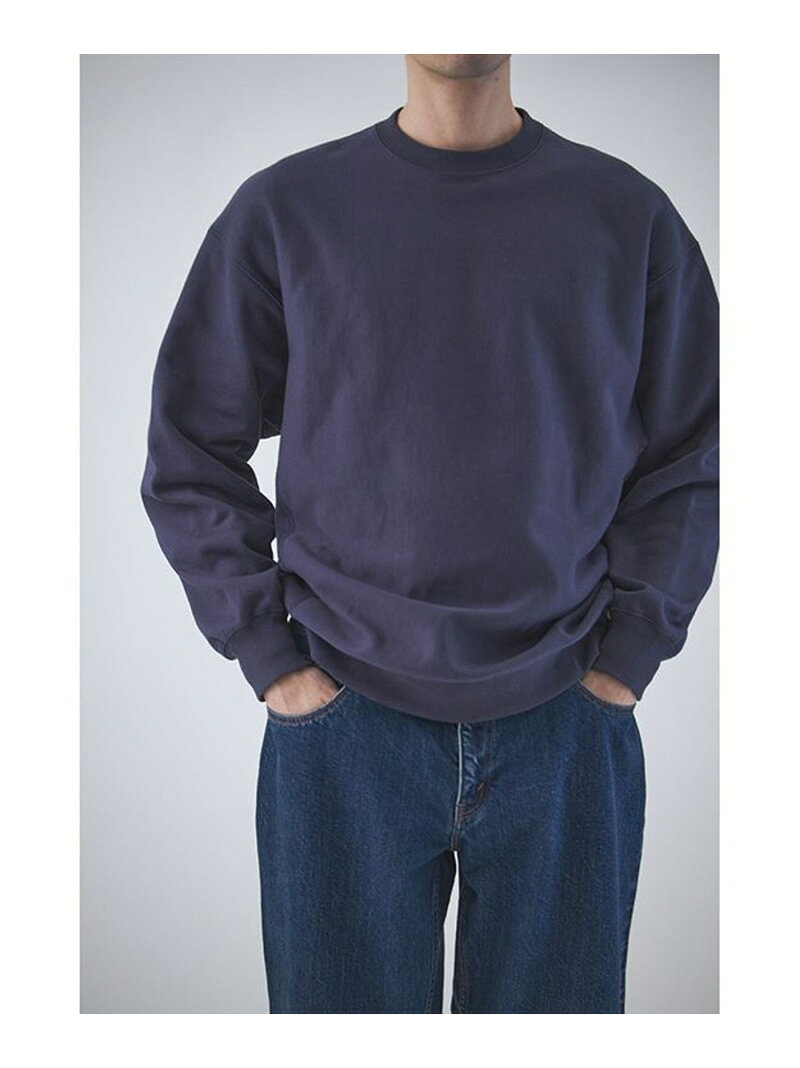 【SALE／10%OFF】Steven Alan ＜Steven Alan＞ ウラケ セットイン クルーネック スウェット ビューティー＆ユース　ユナイテッドアローズ トップス スウェット・トレーナー ブラウン グレー【RBA_E】【送料無料】