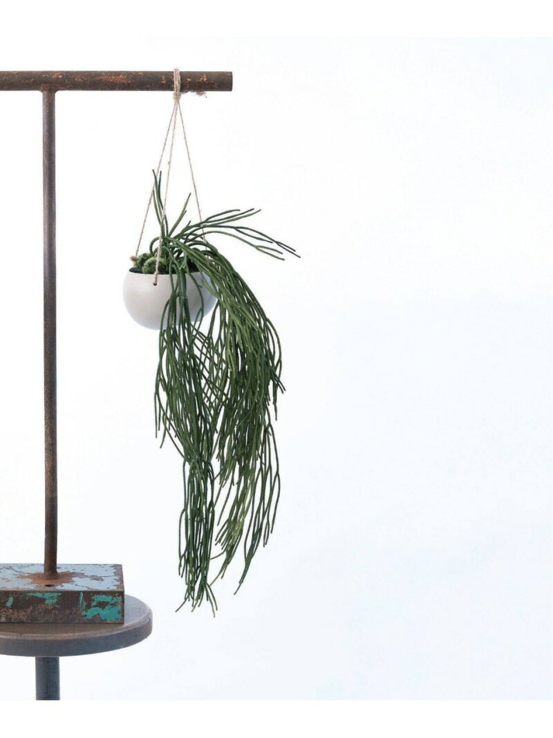 JOURNAL STANDARD FURNITURE 【Brown./ブラウン】リプサリス BLハンギングポット フェイクグリーン ジャーナルスタンダードファニチャー インテリア・生活雑貨 フラワーベース・花瓶 グリーン【送料無料】