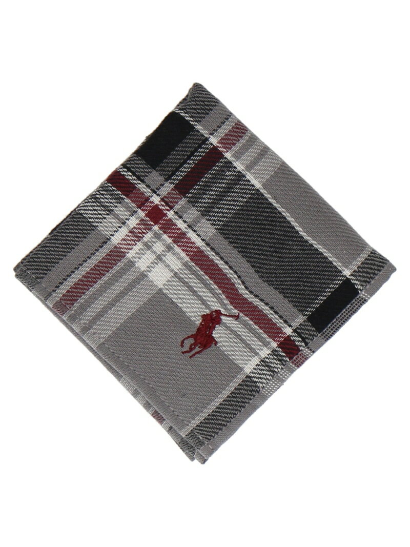 Rakuten Fashion MenのPOLO RALPH LAUREN POLO RALPH LAUREN(ポロ ラルフ ローレン) メンズ ミニタオル インターモードカワベ ファッション雑貨 ハンカチ・ハンドタオル ベージュ ブルー グレー｜アングル2