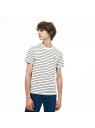 【SALE/30%OFF】LACOSTE チョークボーダークルーネックTシャツ ラコステ カットソー Tシャツ【RBA_E】【送料無料】