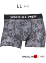 WACOAL MEN 【DREAMS COME TRUE 35th Anniversaryコラボ】 ワコールメン インナー・ルームウェア ボクサーパンツ・トランクス ブラウン ピンク