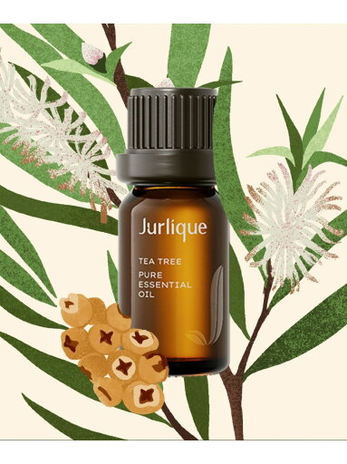 Jurlique 【公式】ジュリーク ティートリー ピュアエッセンシャルオイル ジュリーク フレグランス その他のフレグランス Jurlique 【公式】ジュリーク ティートリー ピュアエッセンシャルオイル ジュリーク フレグランス その他のフレグランス