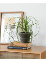 JOURNAL STANDARD FURNITURE POT SET IONIA D S プラントポット 鉢 ジャーナルスタンダードファニチャー インテリア・生活雑貨 フラワーベース・花瓶 ブラック ホワイト(3)