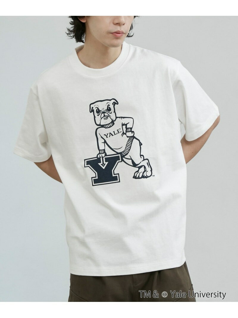 【SALE/52%OFF】coen YALE別注 カレッジプリントTシャツ コーエン トップス カットソー・Tシャツ イエロー ネイビー ホワイト グレー【RBA_E】