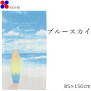 のれん おしゃれ ブルースカイ 85×150cm | 暖簾 ノレン 間仕切り テレワーク 目隠し 布 シェード お洒落 北欧 ロング スクリーン 日除け かわいい 可愛い 玄関 トイレ リビング 収納 階段 飲食店 カーテン お風呂 タペストリー 海 夏 節電 エコ ビーチ ハワイ ハワイアン