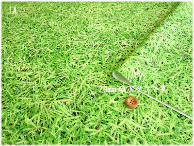 キャンディーパーティーシリーズのプリント生地-芝生でゴロン-≪ぷらんぷちぃくす≫Plump Cheeksグラスグリーン色がとってもきれいなリアルプリントのキャンバス生地です。neonジューン≪CandyParty≫