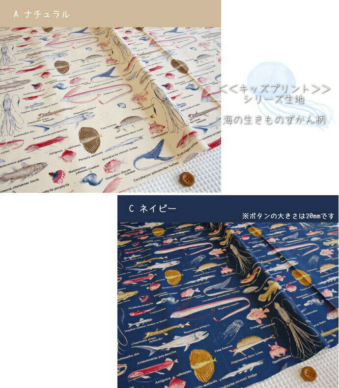 ＜＜キッズプリント＞＞シリーズ生地/海の生きものずかん柄の生地です/ツイル生地/男の子/入園入学/スモック/レッスンバッグ/シューズバッグ/巾着袋/深海魚/図鑑/N20