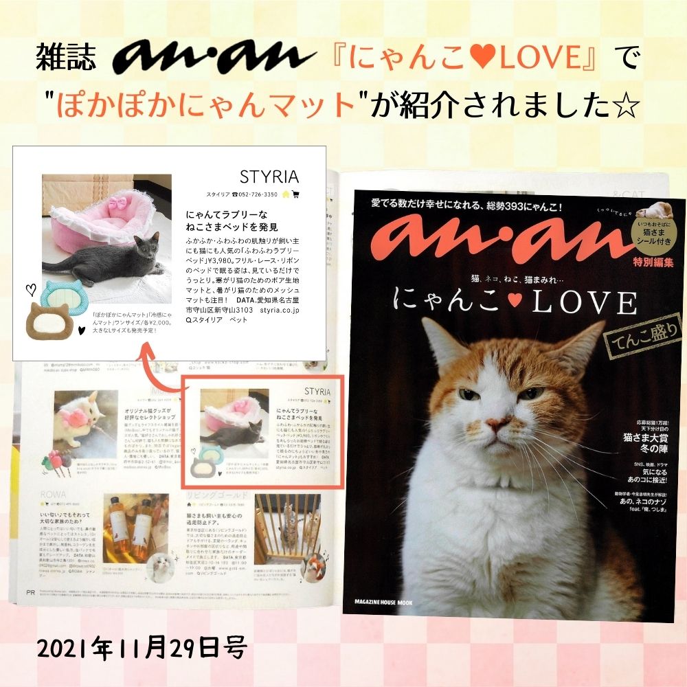 【楽天スーパーセール★10%OFF】猫犬ベッドSTYRIAぽかぽかにゃんマットBig冬洗えるペットあったか暖かい保温かわいいL