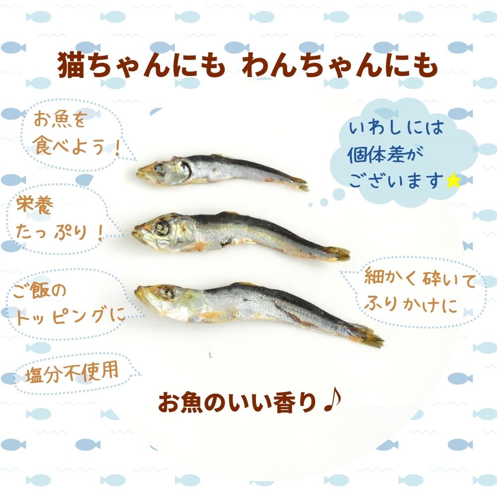 【本日ポイント2倍★期間限定CLアニマルプレゼント】猫 犬 おやつ 無添加 国産 ベストパートナー 塩無添加にぼし 70g×6袋セット 煮干し いわし 小魚 魚 天然 無塩 ふりかけ 小型犬 中型犬 大型犬 シニア ペット 日本製 styria-10000213 犬猫ベッドの STYRIAスタイリア サンプル画像3