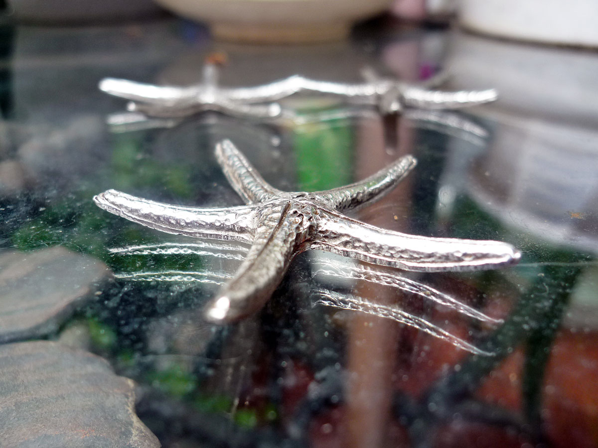 �ԥ塼������Ȥ�֡ʥҥȥǡ�