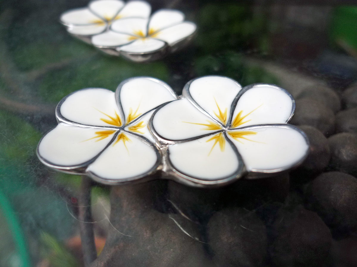 �ԥ塼������Ȥ�֡ʥץ��ꥢ���ء�