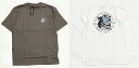 Tシャツ アンビギュアスAMBIGUOUS 25-204 メンズ ストリート サーフィン スケート スノーボード4300
