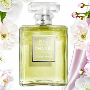 樂天商城 - シャネル　 N°19 　プートレ オー ドゥ パルファン　EDP SP　リニュアル前
