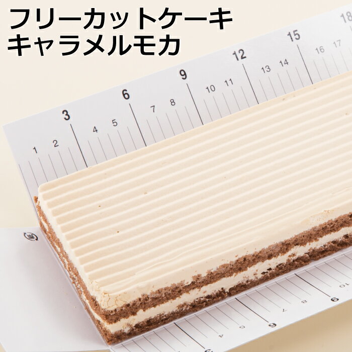 フリーカットケーキキャラメルモカケーキ スイーツ 冷凍 業務用　キャラメル モカ