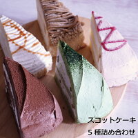 ズコット5種詰め合わせスイーツ 洋菓子 ケーキ 冷凍 詰め合わせ 食べ比べ 送料無料