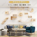 キャットウォーク 有孔ボード 壁掛け式猫用ステップ 壁面 棚 DIY 壁 天然木 壁掛け猫クライマーセット 猫用 キャットタワー 猫家具 キャットステップ 猫棚 猫ハウス 木製 多孔ボード 爪とぎポール キャットウォーク 壁付け 遊び場 ストレス解消 取り付け簡単 便利
