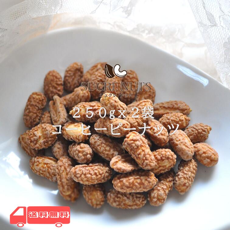 250gx2袋 コーヒーピーナッツ ほどよい甘さ バタピーを独自の製法でコーヒー味に加工しました。送料無料 チャック付き メール便 無添加 ナッツ コロナ 食品 おやつ コーヒーピー