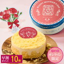 センイルケーキ 青い 花畑 ケーキ 5号 チーズケーキ 可愛いケーキ 誕生日ケーキ 大人 花 スイーツ ケーキ バタークリーム バースデーケーキ お取り寄せ インスタ映え スイーツ ケーキ 花 誕生日 サプライズ ケーキ 記念日 美味しい ギフト 還暦祝 米寿祝 卒業祝