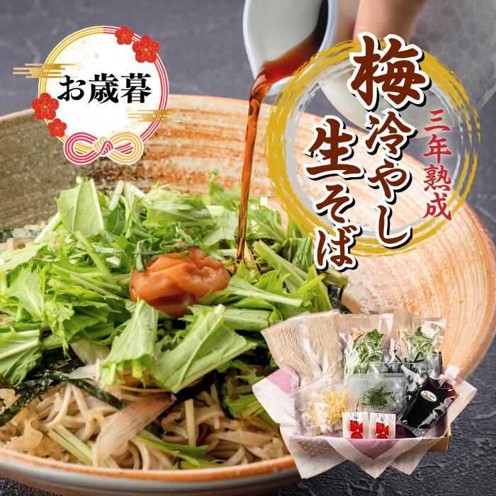 梅 冷やし 蕎麦 2人前 4人前 6人前 10人前 常陸秋そば(生蕎麦) そばセット 高級そば 生そば ソバ 引越..