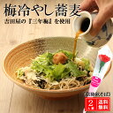 梅 冷やし 蕎麦 2人前 母の日 父の日 常陸秋そば ( 生蕎麦 ) 誕生日 引越し 送料無料 有名 産地直送 茨城県 大洗 ギフト 無添加 そば ..