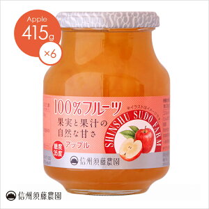 [ケース販売][100％フルーツ]アップル415g 1ケース6個入り《送料無料》