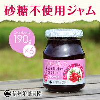 信州須藤農園 【砂糖不使用】１００％フルーツ 食べきり190ｇ 1ケース（6個入り）190ｇ