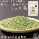 日本山人参(ヒュウガトウキ)100％純粋パウダー30g×3袋セット 宮崎県産100％ 無添加・無着色・ノンカフェインメール便にて送料無料！