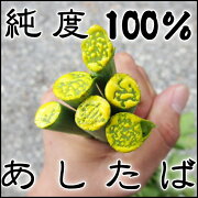 楽天市場 明日葉 サプリ まるごと100 純粋粉末カプセル90粒 約1か月分 あしたば青汁カプセルサプリ 国産 明日葉 粉末 あしたば 青汁 明日葉 粒 明日葉 サプリメント あしたば 粉末 アシタバ 販売 通販 メール便にて送料無料 宮崎 すどう農園 未購入を