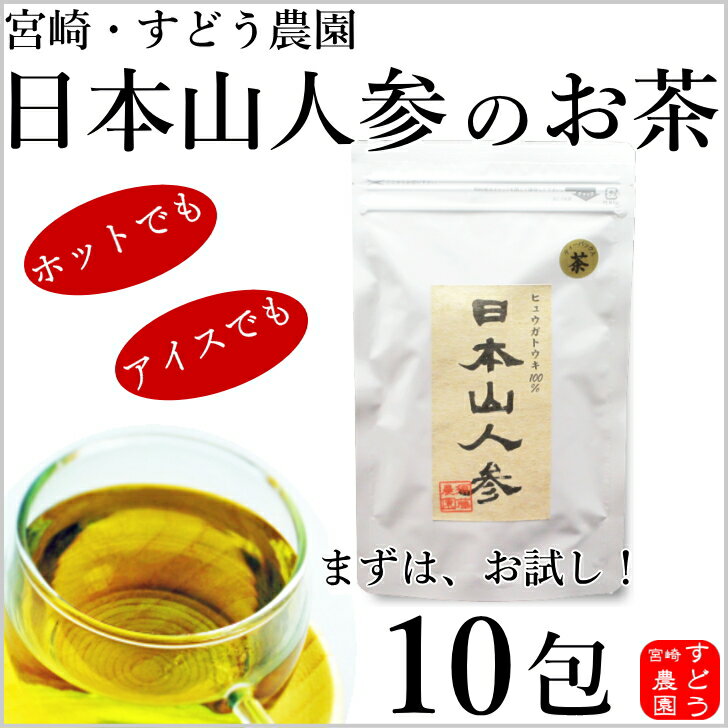 日本山人参茶 お試し♪（ヒュウガトウキ茶）10包入り・宮崎県産100％無農薬（初回購入限定★お1人様3袋限り）メール便にて送料無料！ノンカフェイン