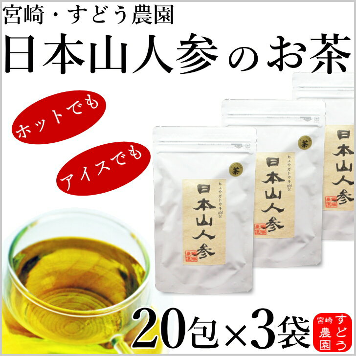 日本山人参茶（ヒュウガトウキ茶）20包×3袋セット只今10包サービス中!!焙煎仕込み メール便にて送料無料！宮崎県産100％産地直送便！ノンカフェイン宮崎・すどう農園