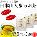 日本山人参茶（ヒュウガトウキ茶）20包×3袋セット只今10包サービス中!!焙煎仕込み メール便にて送料無料！宮崎県産100％産地直送便！ノンカフェイン宮崎・すどう農園