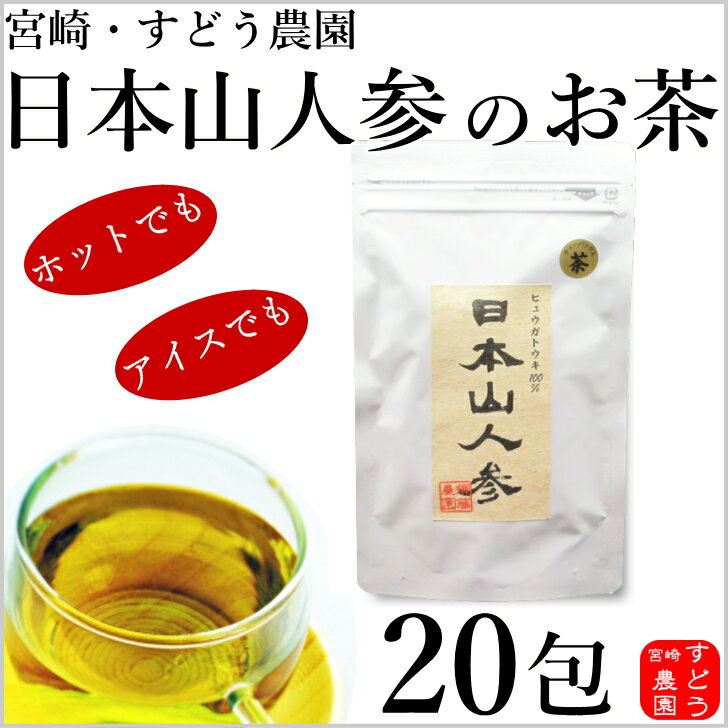 日本山人参茶（ヒュウガトウキ茶）20包入り★メール便にて送料無料！宮崎県産100％農家直送便！ノンカフェインすどう農園