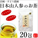 山中の岩肌に自生する日本山人参（ヒュウガトウキ） 商品説明名称・内容量 日本山人参茶(ヒュウガトウキ茶)2g×20包原材料名 日本山人参（ヒュウガトウキ）葉・茎（宮崎県産100％）お召し上がり方 ・約1〜2&#8467;のお湯を沸かします。・その中にティーパックを1包入れて約5分煮出します。 ・苦味がありますので、お好みに合わせてお湯を増減してください。 ※冷やしても熱いまま飲まれても結構です。（慣れるまで薄めでお試しください。）　賞味期限別途商品ラベルに記載保存方法 直射日光、高温多湿を避け常温で保存してください。販売者(株)宮崎・すどう農園YD　　 須藤優生　宮崎県日向市富高7157-97　tel　0982-60-3867　広告分責：(株)宮崎・すどう農園　メーカー名:(株)宮崎・すどう農園　原産国：日本　 商品区分：健康食品