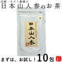 日本山人参茶 お試し♪(ヒュウガトウキ茶)10包入り・宮崎県産100%無農薬(初回購入限定★お1人様3袋限り)ノンカフェイン【日向当帰/日本山ニンジン/日本山人...
