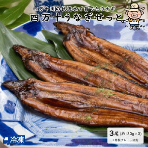 【高知産うなぎ】旨味が凝縮された天然鰻！美味しい高知県産ウナギのおすすめは？