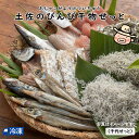 土佐のびんび干物せっと<千代せっと> 干物 ひもの セット カマス サバ 沖うるめ 【冷凍発送】