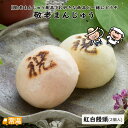 敬老まんじゅう(紅白饅頭)2個入 敬老 まんじゅう 饅頭 紅白 すえひろ屋 オリジナル