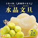 「9月下旬より順次発送開始」 水晶文旦 7玉入(約3kg) 文旦 水晶文旦 温室 柑橘 高級フルーツ 秋 ギフト 土佐 高知 国産 【送料無料】