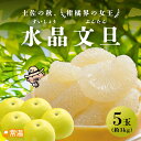 「9月下旬より順次発送開始」 水晶文旦 5玉入(約3kg) 文旦 水晶文旦 温室 柑橘 高級フルーツ 秋 ギフト 土佐 高知 国産 【送料無料】
