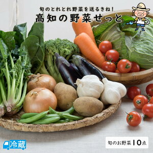 高知の野菜せっとトレトレ10点盛 野菜 新鮮 新鮮野菜 旬 れいほく 嶺北