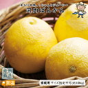 河内晩柑(かわちばんかん)【約10kg】 家庭用・サイズ混在 河内晩柑 かわちばんかん 大串農園 夏みかん 夏 柑橘 北海道・沖縄・離島などの一部の地域は追加送...