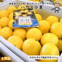 ハウス小夏 約5kg 家庭用 サイズ指定不可 高知名物 小夏 日向夏 ニューサマーオレンジ 家庭用 ハウス