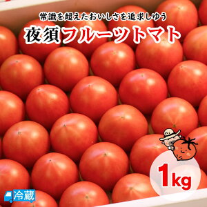 夜須フルーツトマト1kg トマト フルーツトマト 夜須 高知 夜須のフルーツトマト 高糖度 甘味 酸味 濃厚 香南市 旅サラダ コレうまの旅 コレうまグルメ 【送料無料】