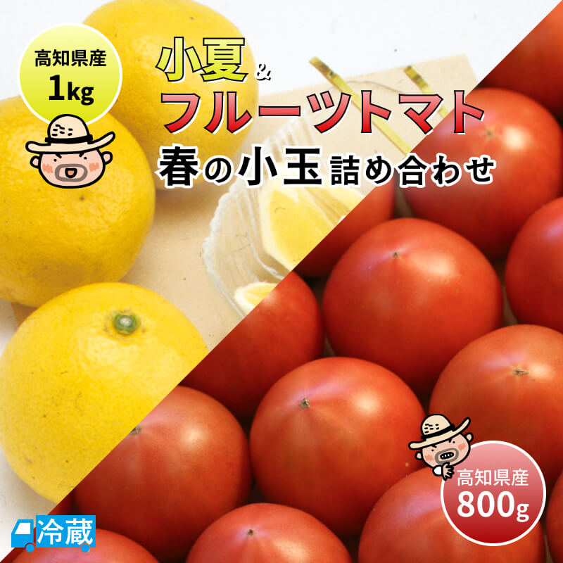 2024年分完売御礼 春の小玉詰め合わせ 高知名物 フルーツトマト 小夏 日向夏 ニューサマーオレンジ 贈答用 北海道注文お受けできません