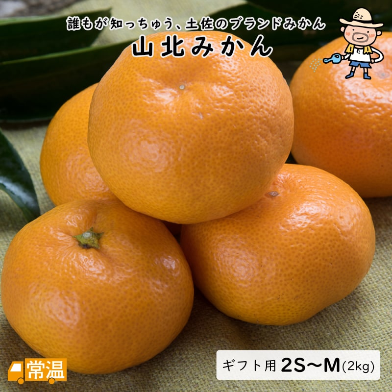 2024年分完売御礼【発送時期:12月中旬まで】 山北みかん ギフト用 2S〜M・2kg みかん 山北 山北みかん ミカン 蜜柑 柑橘 北海道・沖縄・離島などの一部の地域は追加送料発生