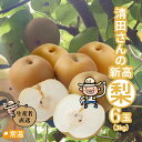 【発送時期:9月末頃〜10月下旬頃】 清田さんの新高梨(約3kg・6玉入) 高知 新高梨 国産 なし 梨 フルーツ くだもの 果物 秋の味覚 ギフト 【送料無料...