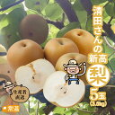 【発送時期:9月末頃~10月下旬頃】 清田さんの新高梨(約3.5kg・5玉入) 高知 新高梨 国産 なし 梨 フルーツ くだもの 果物 秋の味覚 ギフト 【送料無料】 【同梱不可】
