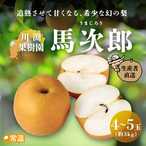 【2024年度の販売はありません】 川渕果樹園 馬次郎 4〜5玉(約3kg) 梨 馬次郎 川渕果樹園 たこ足栽培 有機栽培 針木 【同梱不可】【生産者直送】 【2024年度の販売はありません】 川渕果樹園 馬次郎 4〜5玉(約3kg) 梨 馬次郎 川渕果樹園 たこ足栽培 有機栽培 針木 【同梱不可】【生産者直送】